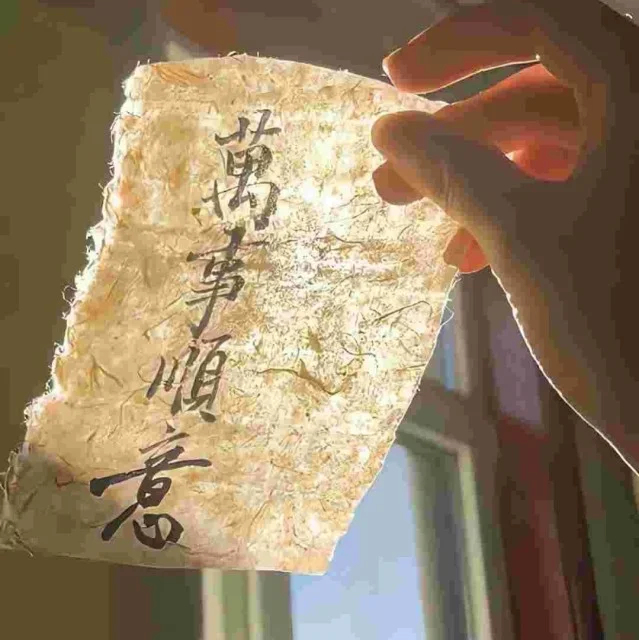 陈鑫